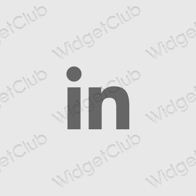 美学Linkedin 应用程序图标