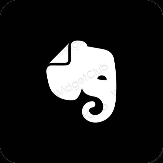 Aesthetic black Evernote app icons