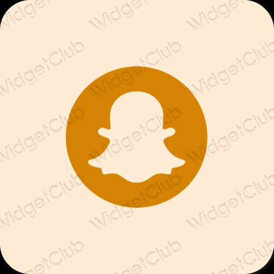 Естетичний бежевий snapchat значки програм