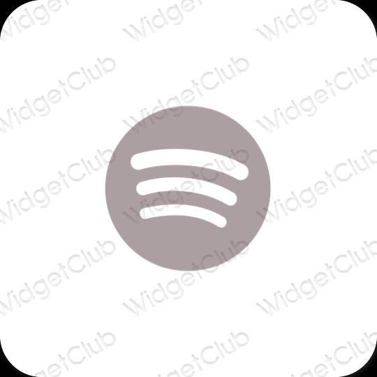 Esthetische Spotify app-pictogrammen