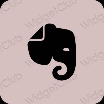 Ästhetisch Pastellrosa Evernote App-Symbole