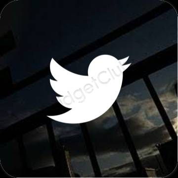 نمادهای برنامه زیباشناسی Twitter