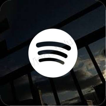 Estetske Spotify ikone aplikacija