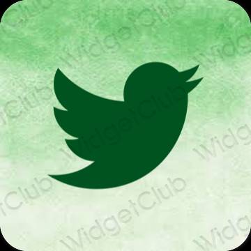 Icônes d'application Twitter esthétiques