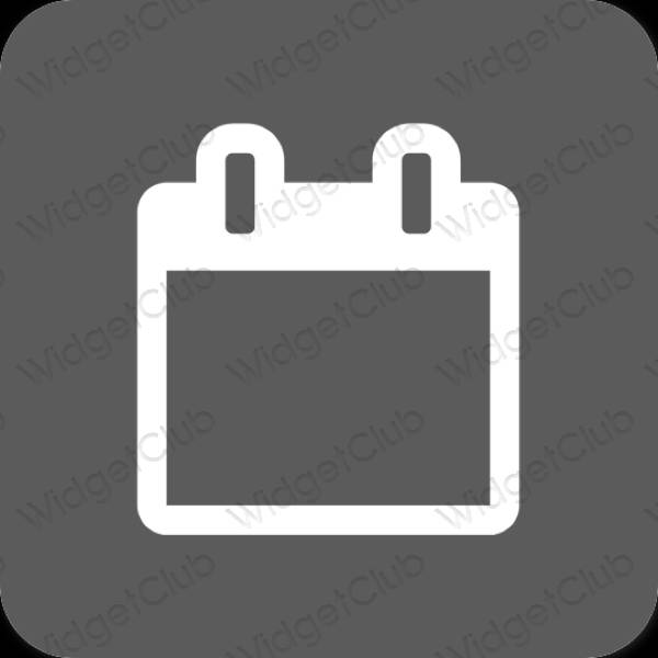 Aesthetic Calendar app icons
