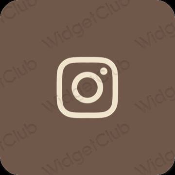 រូបតំណាងកម្មវិធី Instagram សោភ័ណភាព
