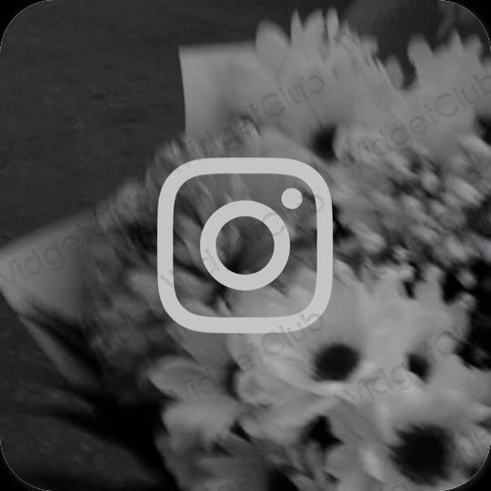 Estetik kelabu Instagram ikon aplikasi
