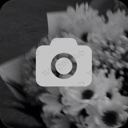 Aesthetic Camera app icons