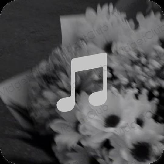 Естетичний сірий Apple Music значки програм
