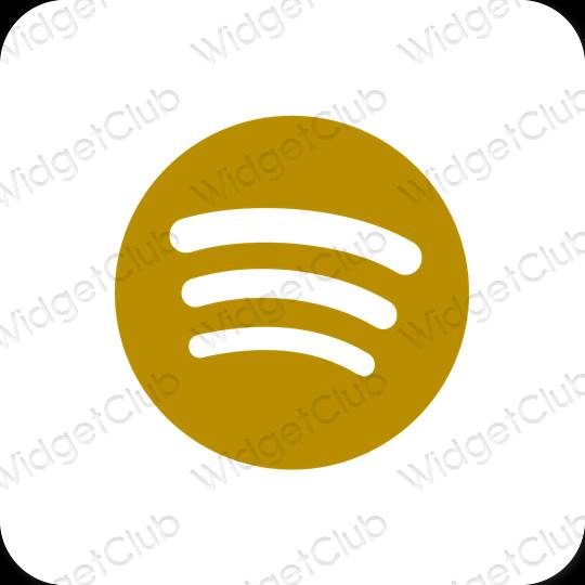 រូបតំណាងកម្មវិធី Spotify សោភ័ណភាព