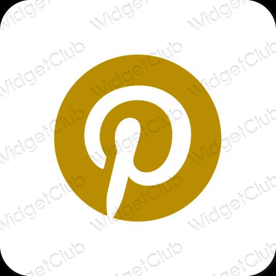 نمادهای برنامه زیباشناسی Pinterest
