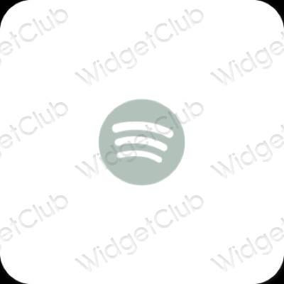 Icônes d'application Spotify esthétiques