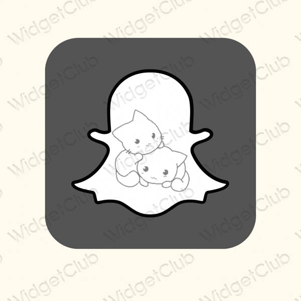 审美的 灰色的 snapchat 应用程序图标