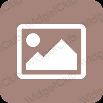 Estetski smeđa Photos ikone aplikacija