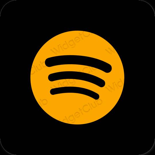 Ästhetische Spotify App-Symbole