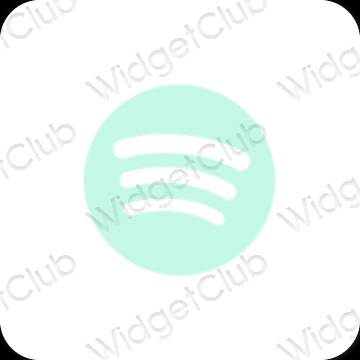 Icônes d'application Spotify esthétiques