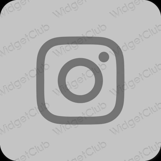 សោភ័ណ ប្រផេះ Instagram រូបតំណាងកម្មវិធី