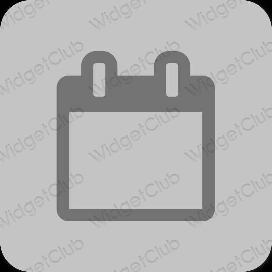 Estetický šedá Calendar ikony aplikací