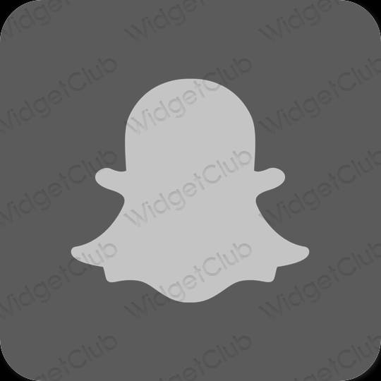 Aesthetic gray snapchat app icons