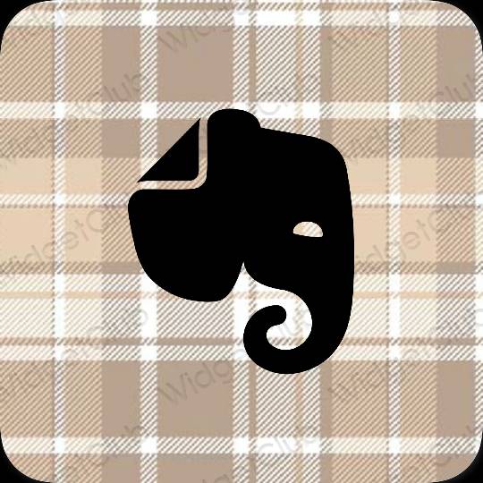 Aesthetic beige Evernote app icons