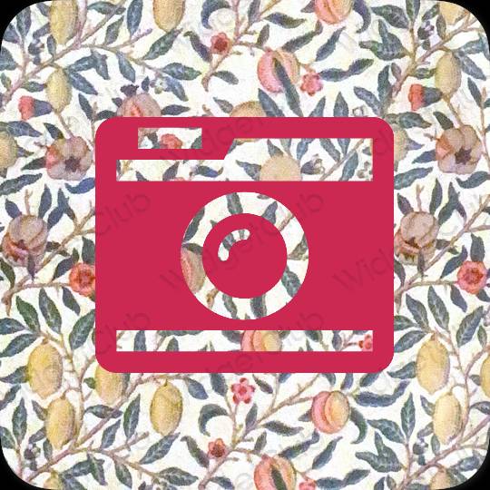 Aesthetic neon pink Camera app icons