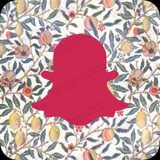 Aesthetic purple snapchat app icons