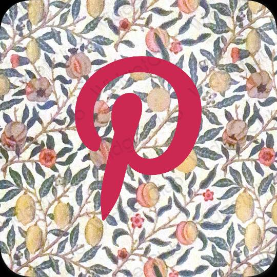 زیبایی شناسی صورتی نئونی Pinterest آیکون های برنامه