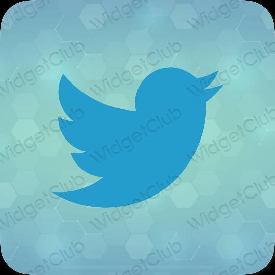 Aesthetic blue Twitter app icons