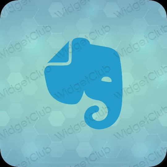Aesthetic blue Evernote app icons