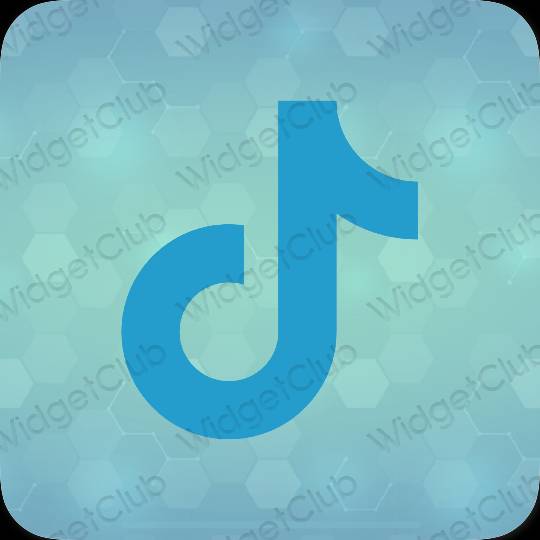 Aesthetic blue TikTok app icons