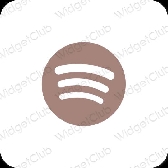 Esthetische Spotify app-pictogrammen