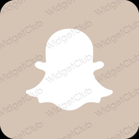 Aesthetic beige snapchat app icons