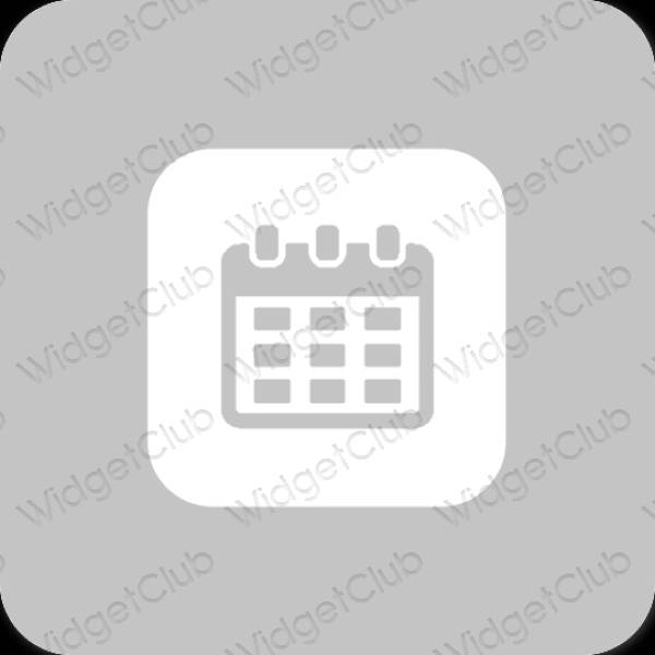 Esthetische Calendar app-pictogrammen