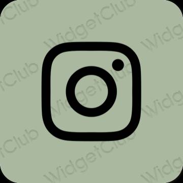 Ästhetische Instagram App-Symbole