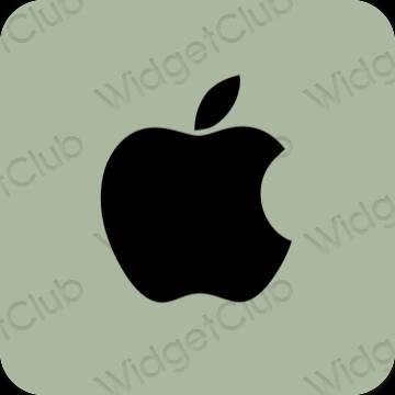 Pictograme pentru aplicații Apple Store estetice