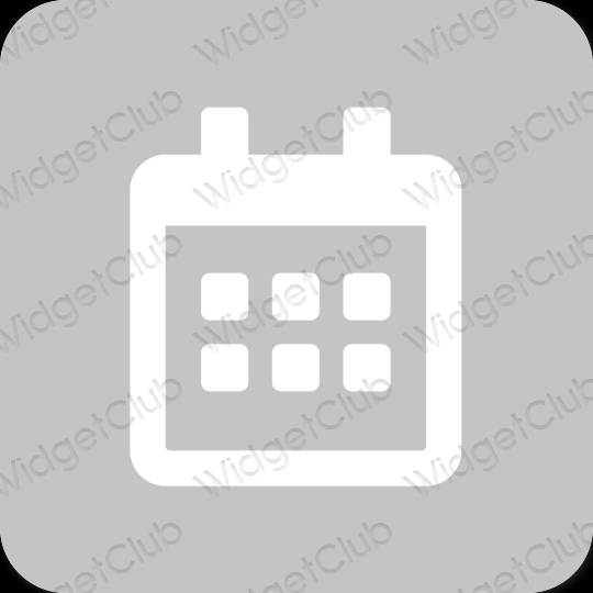 Estetsko siva Calendar ikone aplikacij