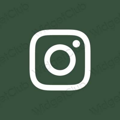 Естетске Instagram иконе апликација