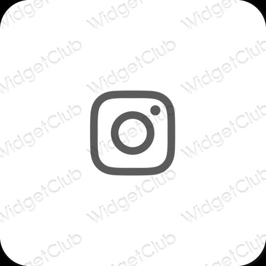 រូបតំណាងកម្មវិធី Instagram សោភ័ណភាព