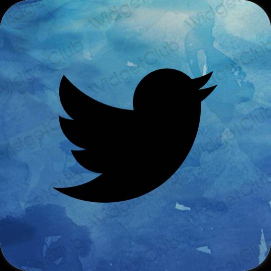 Icônes d'application Twitter esthétiques