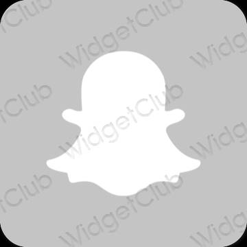 Estetis Abu-abu snapchat ikon aplikasi