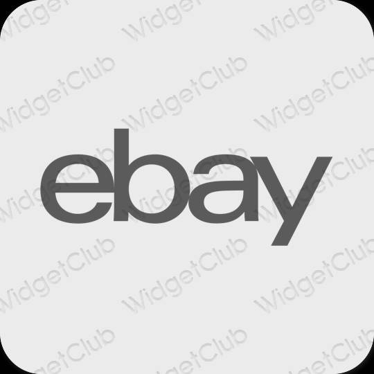 Estetik Boz eBay proqram nişanları
