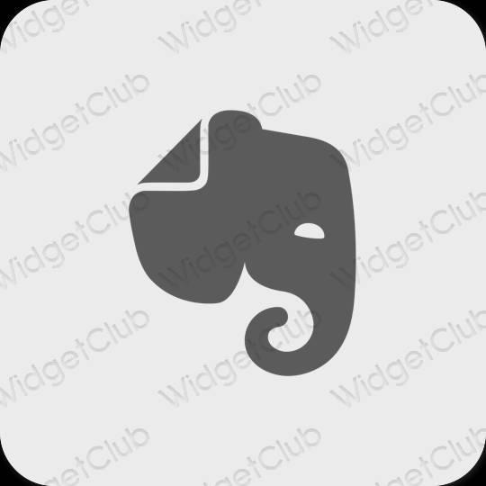 Estético cinzento Evernote ícones de aplicativos