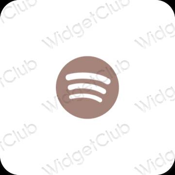 Esthetische Spotify app-pictogrammen