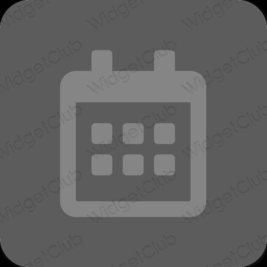 Esthetische Calendar app-pictogrammen