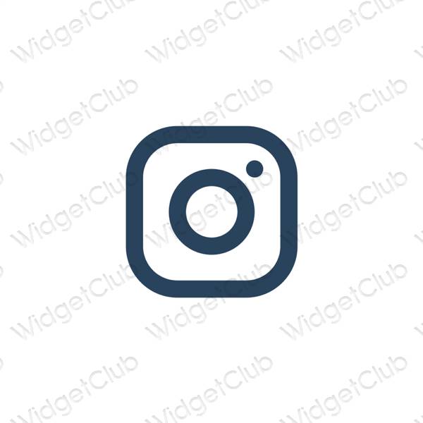 Esthetische Instagram app-pictogrammen