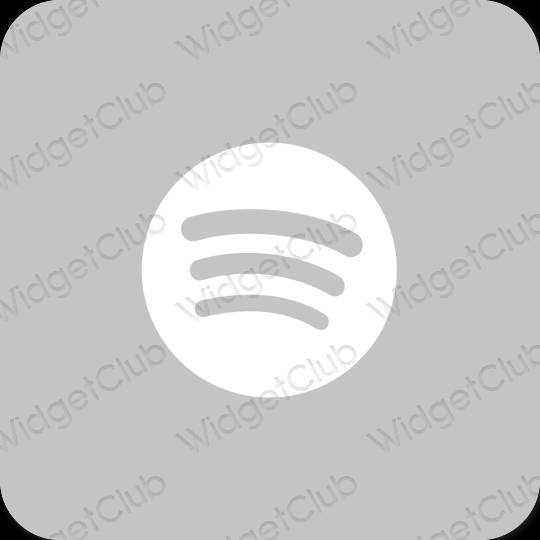 Esthetische Spotify app-pictogrammen