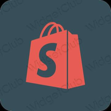 Pictograme pentru aplicații Shopify estetice