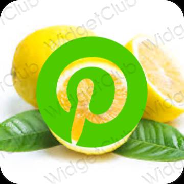 Estético verde Pinterest iconos de aplicaciones