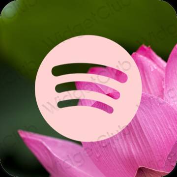 Æstetiske Spotify app-ikoner