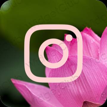 Ästhetische Instagram App-Symbole